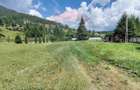 Teren 2,012mp Crucea / DN DN17B - 6