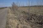 Teren agricol de vanzare 3,68 ha, deschidere 350 m la ?osea, Scutelnici, Buzau Pre?: 1 mp - 4