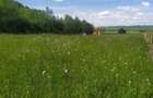Teren de vanzare la marginea padurii, aproape de Sali?te, jud Sibiu
