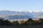 Teren de 3800 mp, în Mioarele - 2