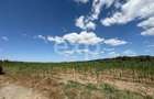 Teren 14.000 mp in Budeasa cu vedere superba catre baraj - 4