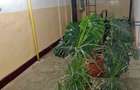 Apartament spatios cu 4 camere, zona Penny, Marghita - 10