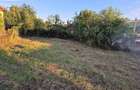 Casă cu Teren 800 Mp în Dăbâca - 4