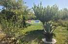 Vila P+M, 5 camere, piscina, curte spre lac - Sarulesti, Calarasi