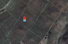 Vanzare VIE 16,5 ha, teren agricol Boldesti-Scaeni, langa crama Feruccio - 4