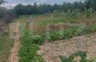 Cabana cu teren de 18 ari, zona Viile Satu Mare - 7