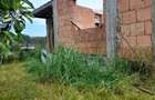 Constructie casa Peciu Nou - 3