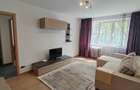 Apartament 2 camere Baba Novac - 1