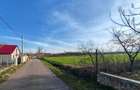 Comana intravilan, ultim lot (din 15), Delta, gaze, privat credit/rate - 4