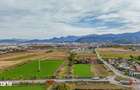 Spatiu comercial/depozit/birouri -Stupini Ocolitoare - 1