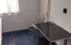 Apartament 3 camere de inchiriat piata 1 decembrie - 2