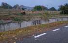 Carligele, jud. Vrancea - 5