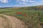 Teren intravilan construibil de 5.900 mp, zona industriala, ?oseaua de - 4