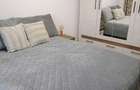 Apartament 2 camere zona Confectii - 6