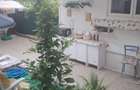 Casa de Vanzare Lugoj Timis !! - 3