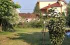Urziceni, teren casa, zona PREMIUM, 500mp. - 7