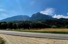 Oportunitate investitie resort/complex turistic/pensiune, Plaiul Foii Zarnesti - 6