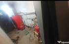 Vand casa sat Dabaca comuna Toplita - 2