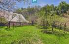Casa Campani, 8000 mp teren, la poalele Apusenilor - 2
