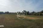 Dascalu -Teren intravilan arabil 7.182 mp