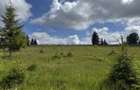 TEREN EXCEP?IONAL 2 Ha PE VIA TRANSILVANICA IN BUCOVINA - 6
