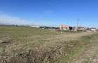 RECO teren industrial cu PUZ in Santandrei