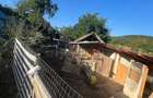 Casa de 1000m2 in Hoisesti Neamt - 1
