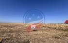 Teren intravilan 5087 mp de vânzare – Pielești - 9