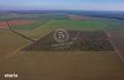 Ocazie- Teren Intravilan de Vanzare- Peris Snagov- Doar 10 euro/mp - 15