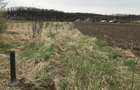 Teren Construcții intravilan de 600 mp, în Corbeanca