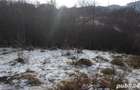 Vand teren Bran - Sohodol - 6