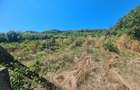Teren extravilan 1650 mp, sat Casin-com.Casin - Onesti