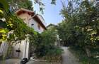 Casa Alexandru cel Bun - 4