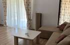 Proprietar - duplex parter, Dumbravita - 1