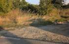 Teren intravilan 840 mp in Pasarea Brane?ti, langa Parkland - 3