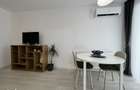 Studio Hils Brauner(zona Pallady), loc parcare, Nicolae Teclu - liber - 2