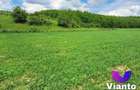 Teren Extravilan 500mp-Zona Turnisor - 1
