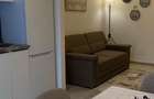 Inchiriere ap. 2 camere, open-space, Bucium-Visan, prima inchiriere - 5