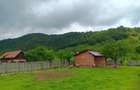 Teren de 2700 mp, în Polovragi - 3