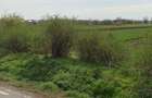Teren de vanzare Jud Giurgiu Com Greaca INTRAVILAN - 3