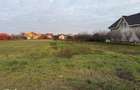 Teren intravilan 1150 mp de vanzare in Cihei - 9