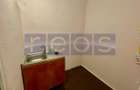 VANZARE CASA 2 CAMERE 35MP + TEREN 36MP CURTE COMUNA PIATA VICTORIEI R - 4