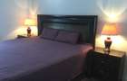 Inchiriere apartament lux 2 camere Cosmopolis - 6