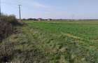 Teren extravilan 3 parcele total 37.400 mp - 1
