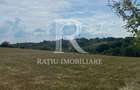 Teren Intravilan | 17.500 mp | S?inteu | Bihor