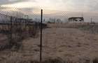Vand teren in zona Petrom ie?ire spre ?ura Mare - 4