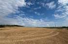 TEREN INVESTITIE | PANORAMA | 4.350 MP | SAUAIEU | BIHOR - 5