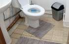Apartament 3 camere, confort 1, decomandat, mobilat, zona sud - 3