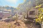 OCAZIE -Casa 3 camere - Coiciu - PE COLT - 28ml DESCHIDERE - 4