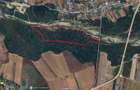 Vand teren (679mp intravilan + 88153mp extravilan/padure) langa Ploiesti - 8